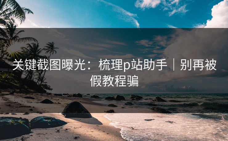 关键截图曝光：梳理p站助手｜别再被假教程骗