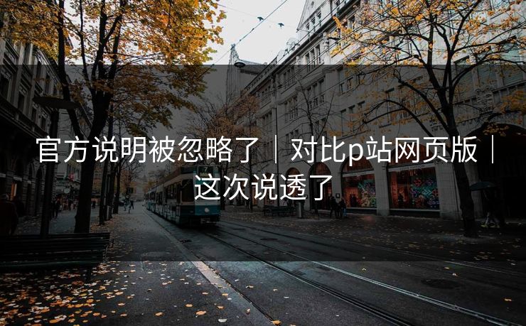 官方说明被忽略了｜对比p站网页版｜这次说透了