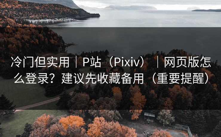 冷门但实用｜P站（Pixiv）｜网页版怎么登录？建议先收藏备用（重要提醒）