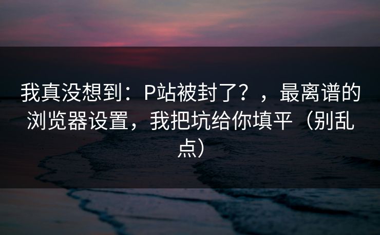 我真没想到：P站被封了？，最离谱的浏览器设置，我把坑给你填平（别乱点）