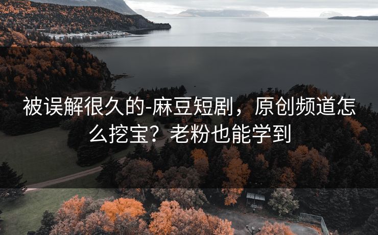 被误解很久的-麻豆短剧,原创频道怎么挖宝?老粉也能学到
