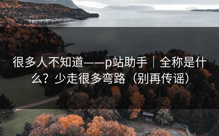 很多人不知道——p站助手｜全称是什么？少走很多弯路（别再传谣）