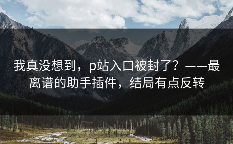 我真没想到,p站入口被封了?——最离谱的助手插件,结局有点反转